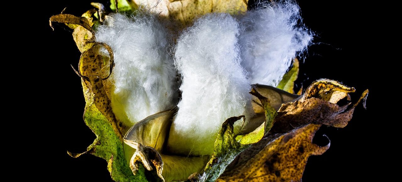 Veleno sulla pelle